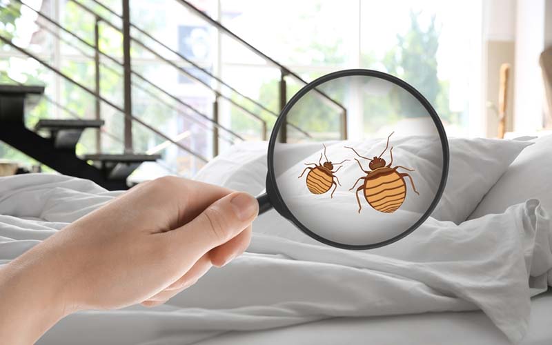 carpet cleaners in Brooklyn, carpet cleaning in Brooklyn, carpet cleaning bkln, carpet cleaners in brooklyn,  commercial carpet cleaning, commercial carpet cleaning in brooklyn,carpet cleaning in brooklyn,  brooklyn rug cleaners, rug cleaning services in brooklyn, same day carpet cleaning, same day rug cleaning