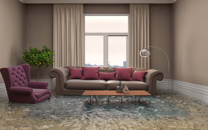 carpet cleaners in Brooklyn, carpet cleaning in Brooklyn, carpet cleaning bkln, carpet cleaners in brooklyn,  commercial carpet cleaning, commercial carpet cleaning in brooklyn,carpet cleaning in brooklyn,  brooklyn rug cleaners, rug cleaning services in brooklyn, same day carpet cleaning, same day rug cleaning