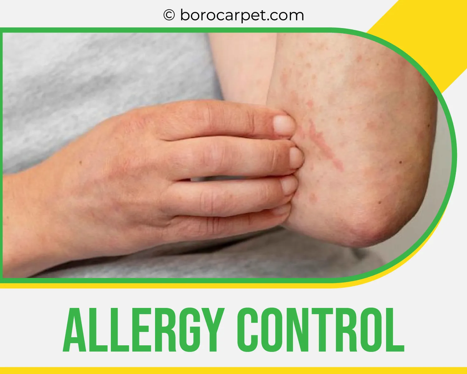 carpet cleaners in Brooklyn, carpet cleaning in Brooklyn, carpet cleaning bkln, carpet cleaners in brooklyn,  commercial carpet cleaning, commercial carpet cleaning in brooklyn,carpet cleaning in brooklyn,  brooklyn rug cleaners, rug cleaning services in brooklyn, same day carpet cleaning, same day rug cleaning